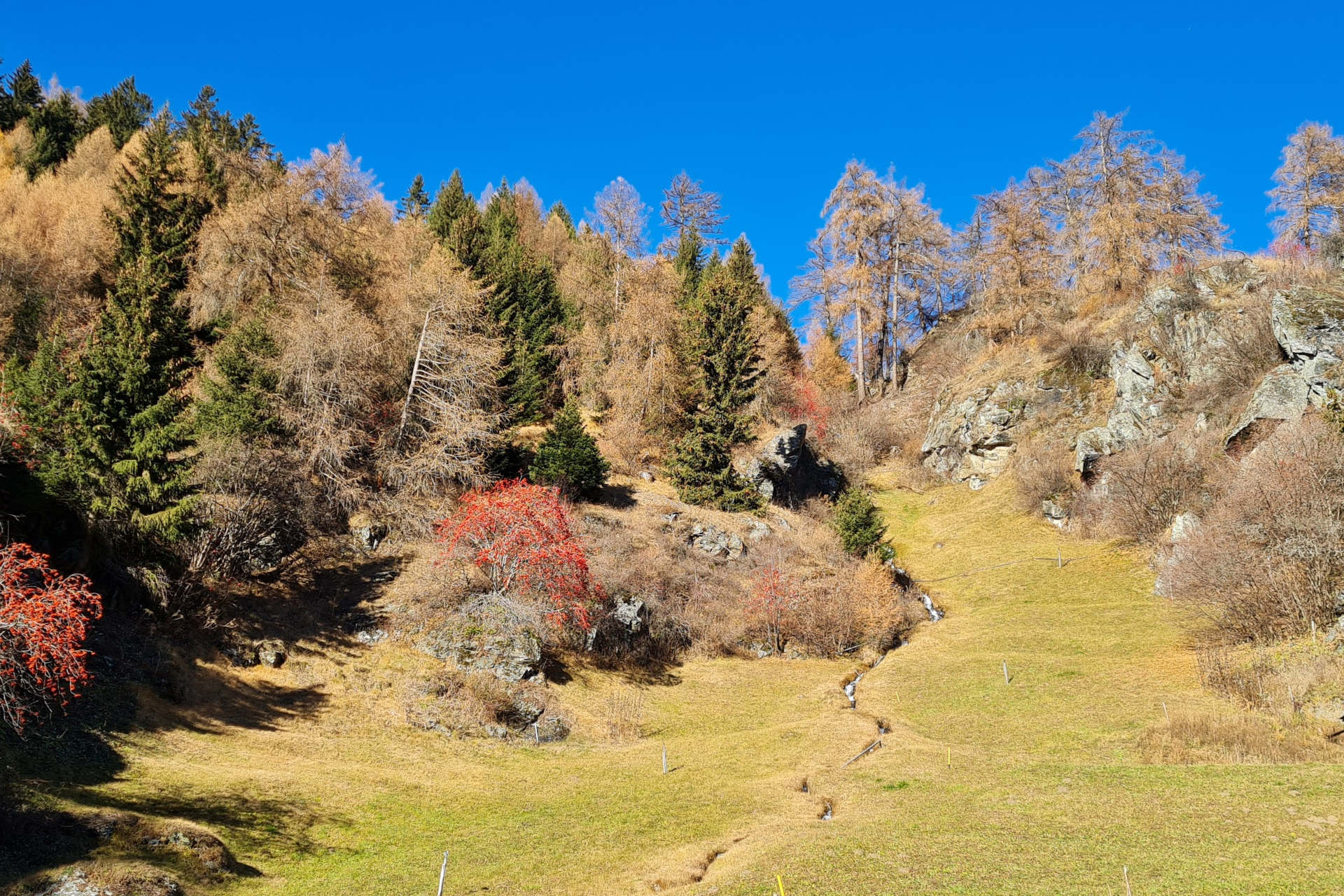 Glurns, Herbst
