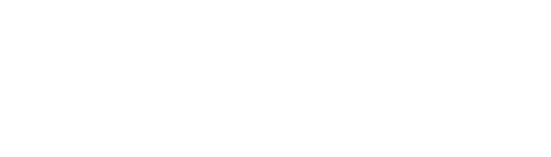 Gruener Baum - Historic Hotel